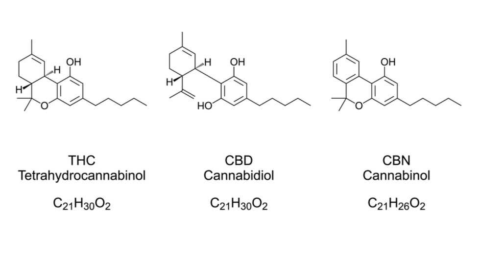 CBN vs CBD