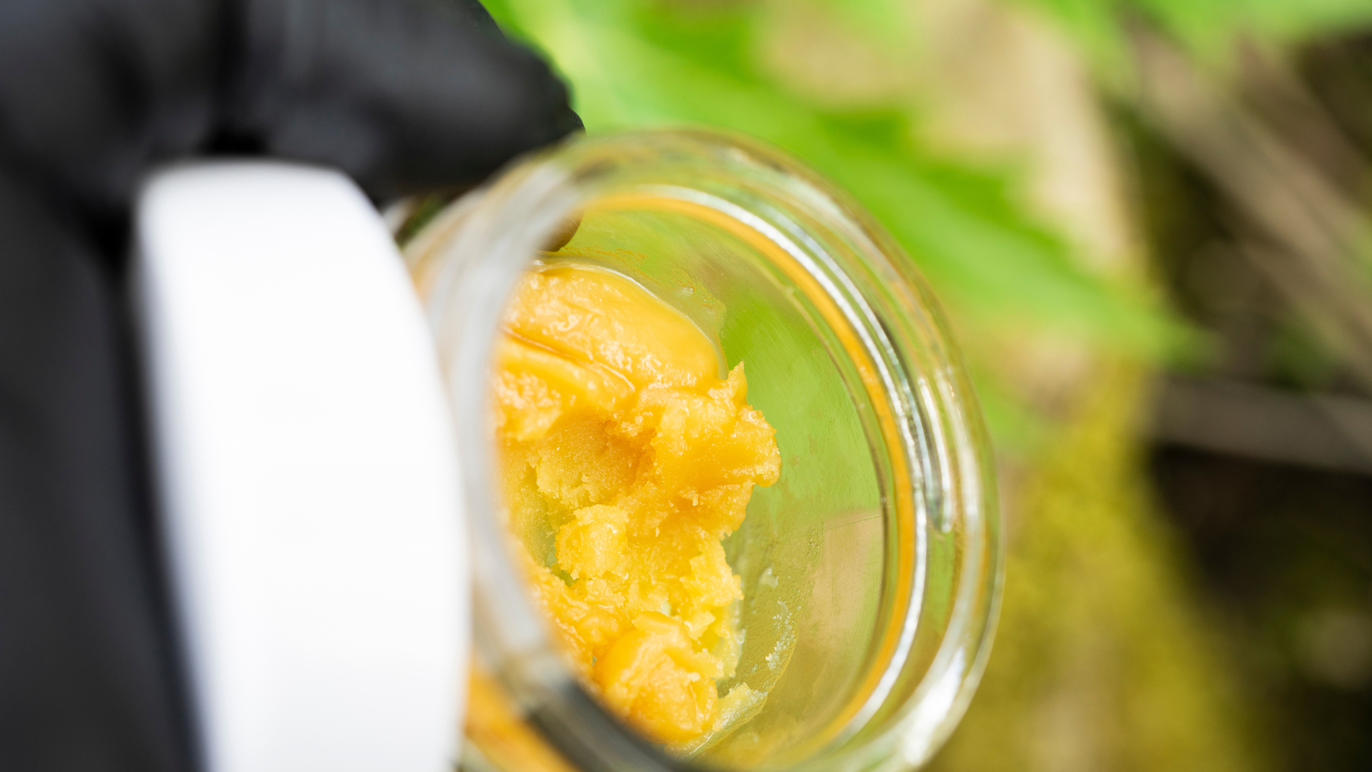 What is Cannabis Budder Badder